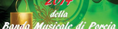 Concerto delle Feste 2014-001_piccola