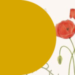 800x200_principale10